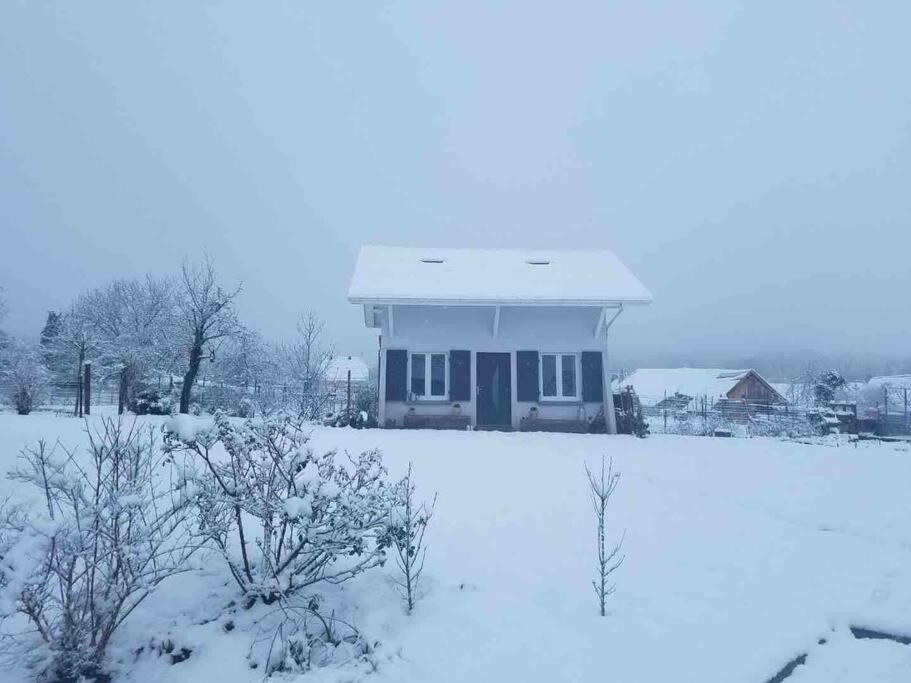 Gite Le Charmot, Au Pied Des Montagnes Classe 3* Roderen Exterior foto